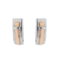 Boucles D'oreilles GUY LAROCHE Dormeuses En Or Blanc Et Or Rose